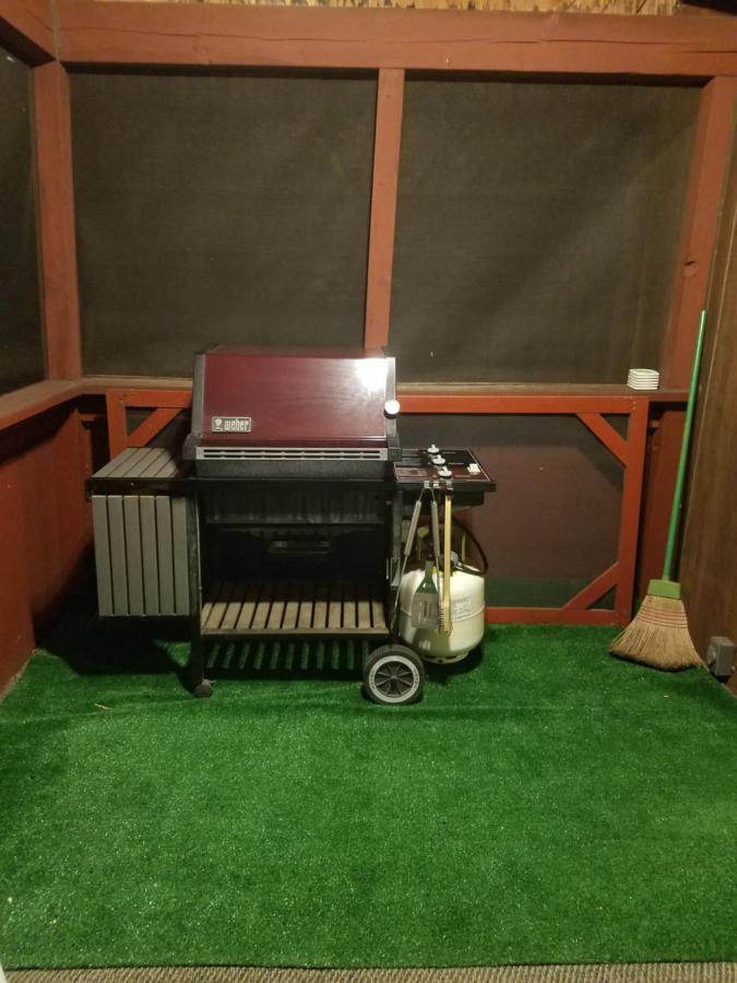 Saw Creek Cabin - Regent Hilltop 布什基尔 外观 照片