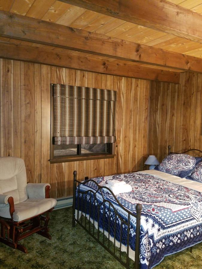 Saw Creek Cabin - Regent Hilltop 布什基尔 外观 照片
