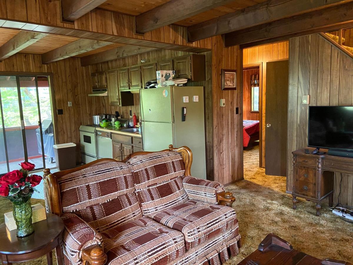 Saw Creek Cabin - Regent Hilltop 布什基尔 外观 照片