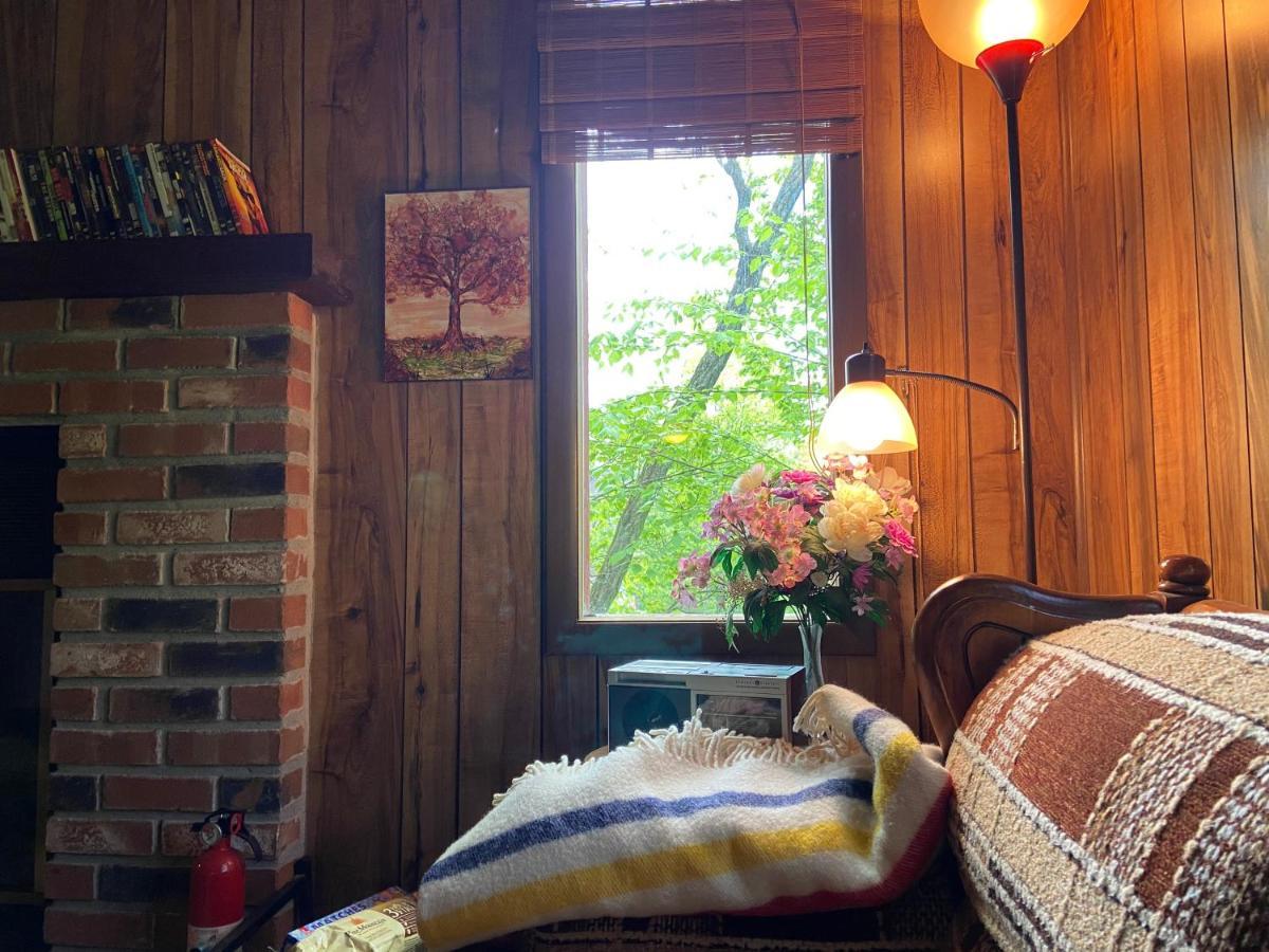 Saw Creek Cabin - Regent Hilltop 布什基尔 外观 照片
