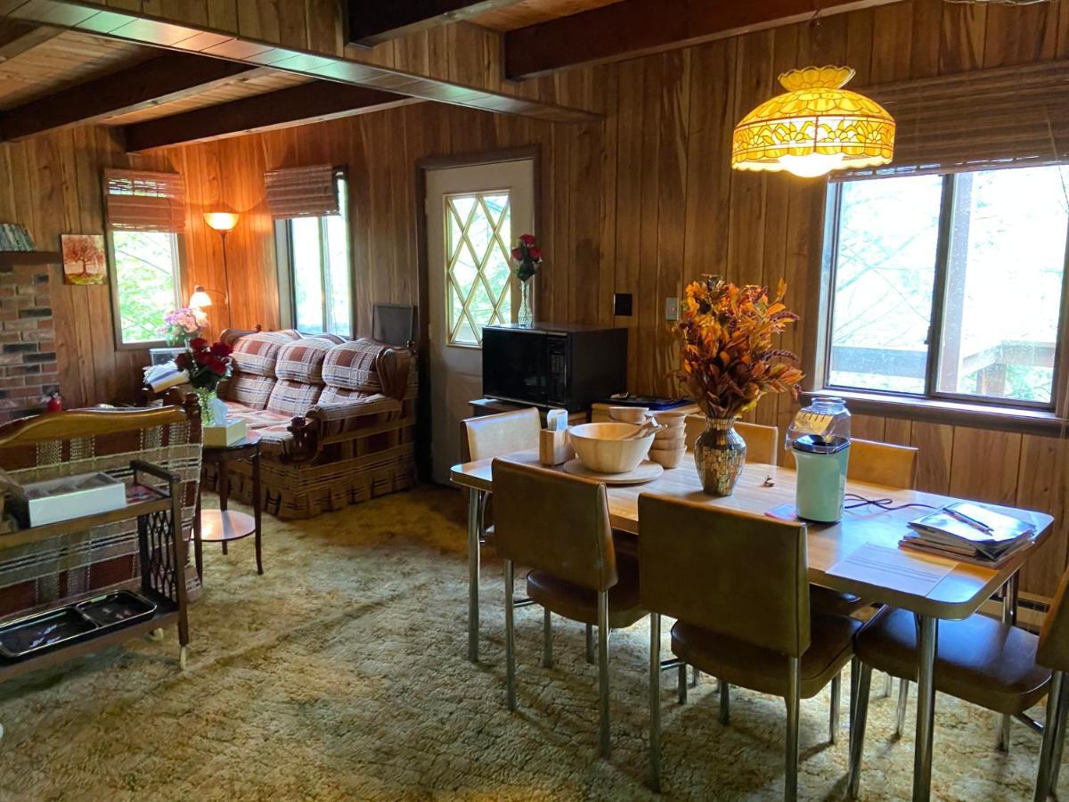 Saw Creek Cabin - Regent Hilltop 布什基尔 外观 照片